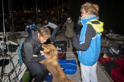 Tanguy Le Turquais, sur le Figaro Queguiner Kayak, lors de l arrivee de la Douarnenez Gijon 2019 - le 14/08/2019