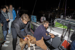 Tanguy Le Turquais, sur le Figaro Queguiner Kayak, lors de l arrivee de la Douarnenez Gijon 2019 - le 14/08/2019